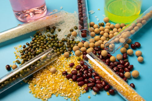 五谷丰登，科技护航 农业科技在食品培育中的革新与摄影艺术