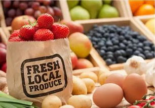 绿色有机食品 健康选择与生态责任