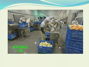 冷链食品工厂基础指南 从冷链原理到运营关键