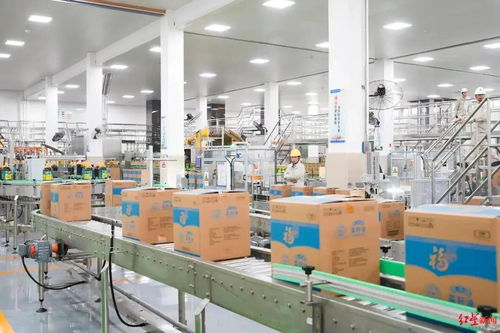 向往的园区 甜到心尖尖，探秘健康食品的魔法工厂